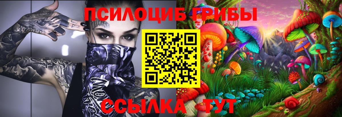 Галлюциногенные грибы Cubensis  Вход с VPN  Псилоцибиновые грибы прущие грибы  Коммунар 