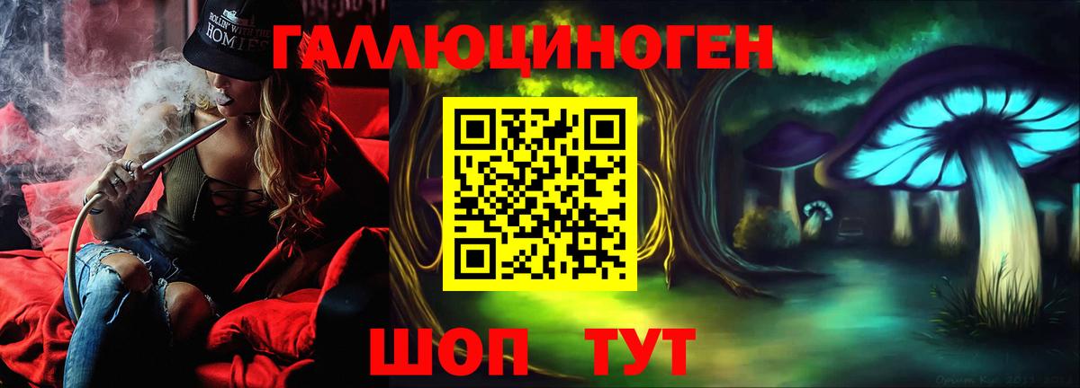 Псилоцибиновые грибы Psilocybe Коммунар
